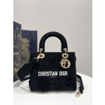 DIOR Lady embroidery latest spring and summer series