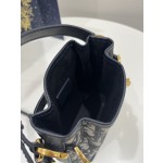 DIOR latest C'est series