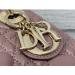 Dior three grid peony purple