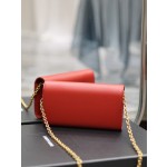 SAINT LAURENT LE MAILLON Plain grain cowhide chain bag model: 738109