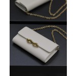 SAINT LAURENT LE MAILLON Plain grain cowhide chain bag model: 738109