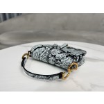 Dior 928 Paris Map Saddle Bag