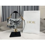 Dior 928 Paris Map Saddle Bag