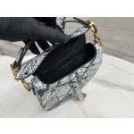 Dior 928 Paris Map Saddle Bag