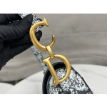 Dior 928 Map of Paris Saddle Bag 3351