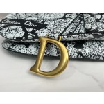 Dior 928 Map of Paris Saddle Bag 3351