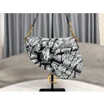 Dior 928 Map of Paris Saddle Bag 3351