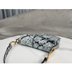 Dior 928 Map of Paris Saddle Bag 3351