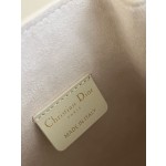 DIOR latest C'est series