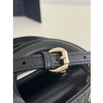 DIOR Lady latest micro series