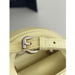 DIOR Lady latest micro series