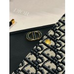 Dior Hobo Avenue Mini Handbag Model: 2336