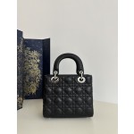 DIOR Lady Diana four grid series