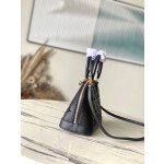 𝐋𝐎𝐔𝐈𝐒𝐕𝐔𝐈𝐓𝐓𝐎𝐍 M22878 black embroidered shell bag series