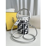 FENDI Double F Bucket Package Model Number: 226