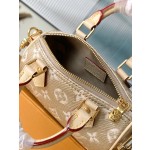 LOUIS VUITTON M82242 Gold This Nano Speedy Handbag