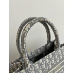 DIOR Tote latest size