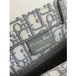 DIOR Tote latest size