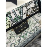 DIOR Tote latest spring and summer series