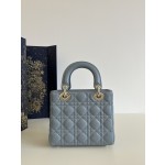 DIOR Lady Diana four grid series