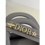 DIOR Lady Diana four grid series