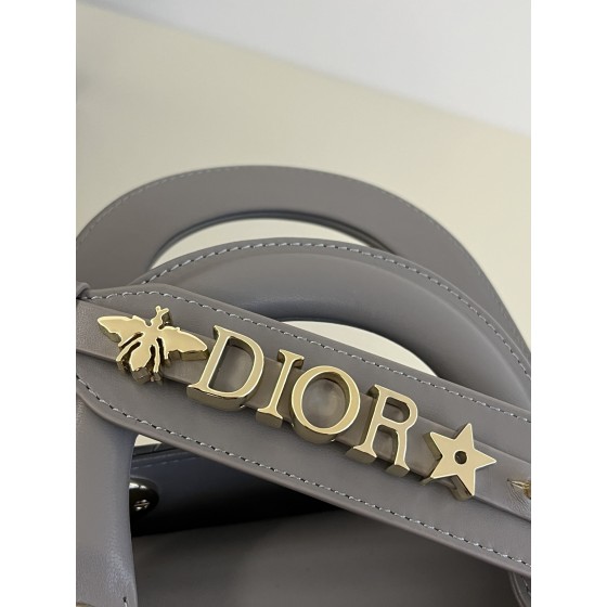 DIOR Lady Diana four grid series