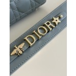 DIOR Lady Diana four grid series