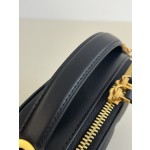 DIOR Signature series oval camera bag