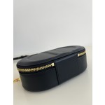 DIOR Signature series oval camera bag
