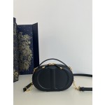 DIOR Signature series oval camera bag