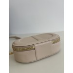 DIOR Signature series oval camera bag