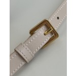 DIOR Signature series oval camera bag