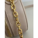 DIOR Signature series oval camera bag