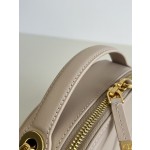 DIOR Signature series oval camera bag