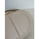 DIOR Signature series oval camera bag