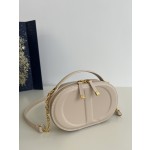 DIOR Signature series oval camera bag