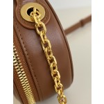 DIOR Signature series oval camera bag