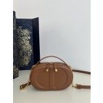 DIOR Signature series oval camera bag