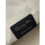 DIOR lunch box bag series