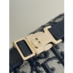 DIOR lunch box bag series