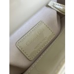 DIOR Princess Diana three grid series