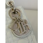 DIOR Princess Diana three grid series