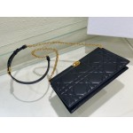 DlOR Caro Colle Noire Chain Carrying Bag
