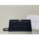 DlOR Caro Colle Noire Chain Carrying Bag