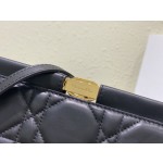 DlOR Caro Colle Noire Chain Carrying Bag