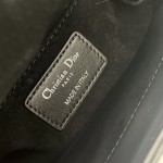 DIOR Princess Diana three grid series