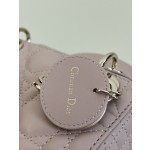 DIOR Princess Diana three grid series