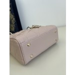 DIOR Princess Diana three grid series