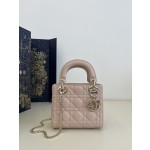 DIOR Princess Diana three grid series