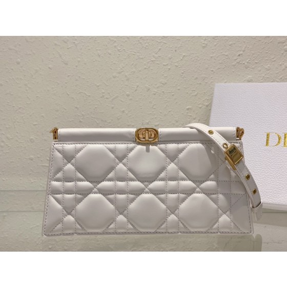 DlOR Caro Colle Noire Chain Carrying Bag